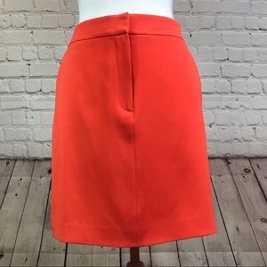 Ann Taylor Women’s skirt